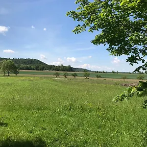 Ivonete Wettringen (Bavaria)